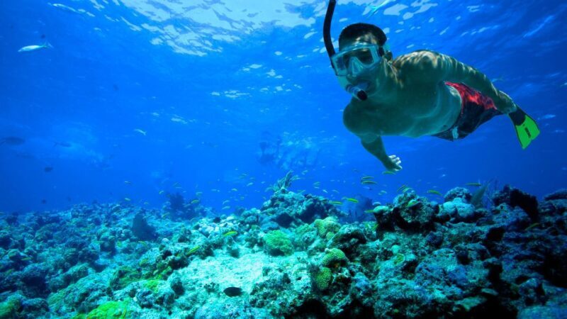 Florida Keys: Full-Day Kayak + Snorkel Coral Reef Adventure - Practical Considerations