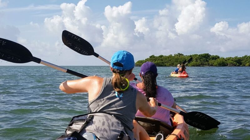 Florida Keys: Full-Day Kayak + Snorkel Coral Reef Adventure - Final Verdict