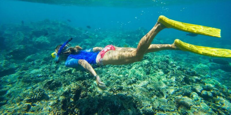 florida-keys-full-day-kayak-snorkel-coral-reef-adventure