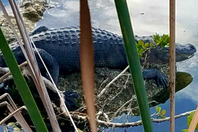 Florida Keys Nature & History Tour from Key West - Key Points  