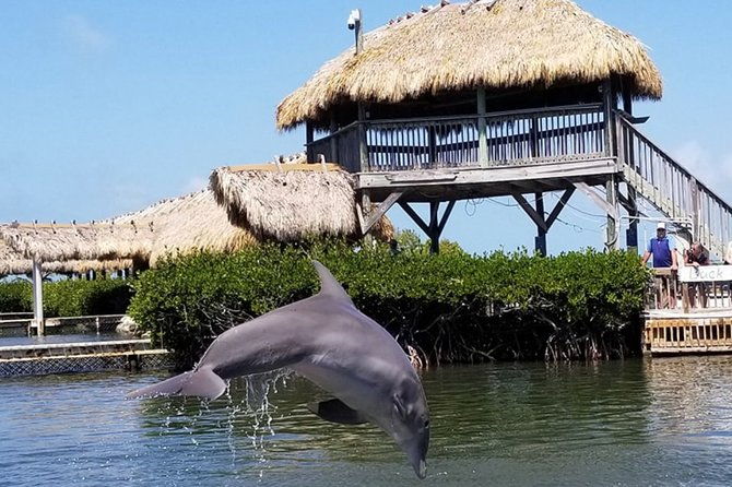 florida-keys-tour-and-private-transportation-service