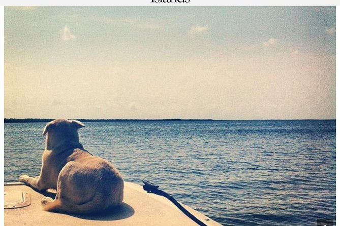 florida-keys-tour-and-private-transportation-service