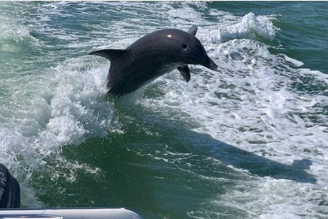 floridas-beautiful-beaches-and-waterways-private-tour