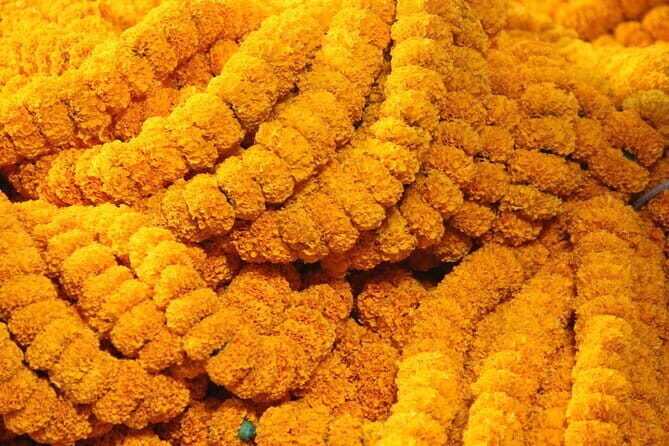 Flower Market Colors and Ganges Ghat Experience - The Itinerary in Detail