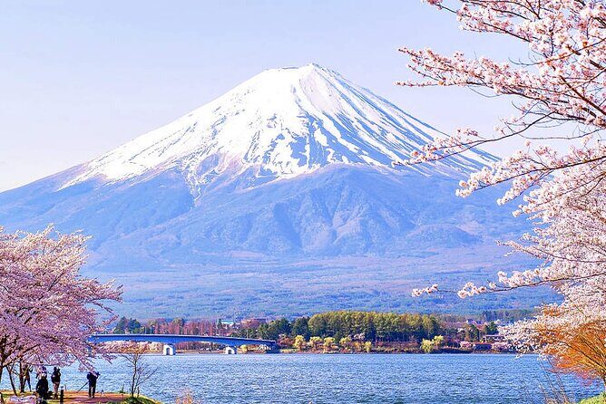 Flower Viewing at Kawaguchiko & Mt. Fuji Day Tour with Kusa Mochi - Introduction: What Makes This Tour Stand Out