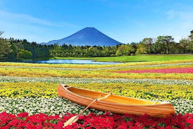 Flower Viewing at Kawaguchiko & Mt. Fuji Day Tour with Kusa Mochi - Transportation and Group Size: Comfort and Convenience