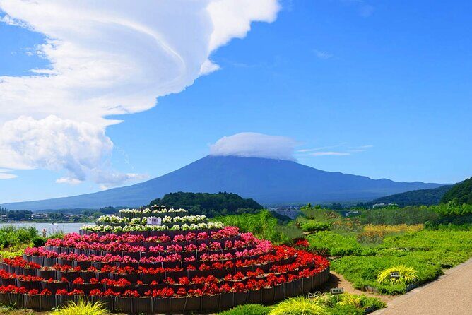 Flower Viewing at Kawaguchiko & Mt. Fuji Day Tour with Kusa Mochi - Food and Snacks: A Taste of Japan