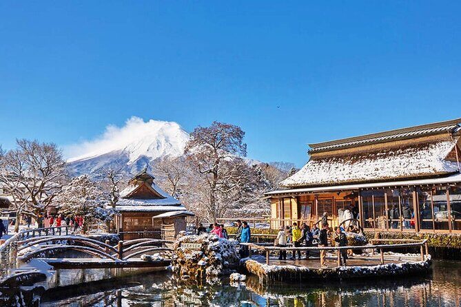 Flower Viewing at Kawaguchiko & Mt. Fuji Day Tour with Kusa Mochi - Price and Value: Is it Worth It?