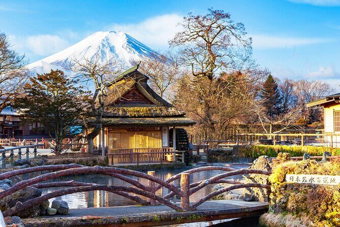 Flower Viewing at Kawaguchiko & Mt. Fuji Day Tour with Kusa Mochi - The Sum Up: Who Will Love This Tour?