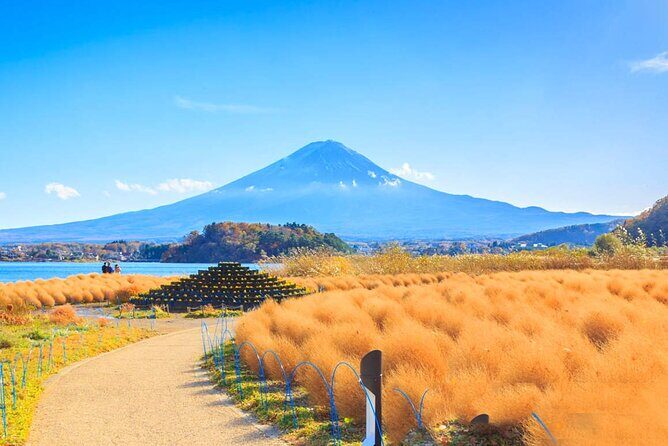 Flower Viewing at Kawaguchiko & Mt. Fuji Day Tour with Kusa Mochi - FAQ