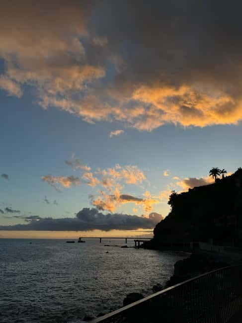 Flowers Of The Forest, Câmara de Lobos 4x4 Jeep Tour - Who Will Love This Tour?