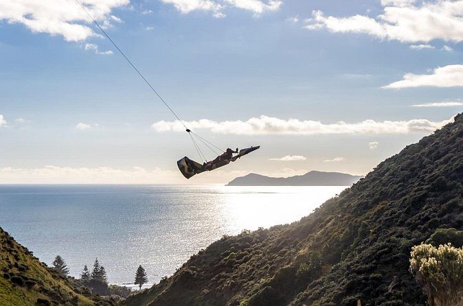 Fly By Wire New Zealand - Who Should Consider This Tour?