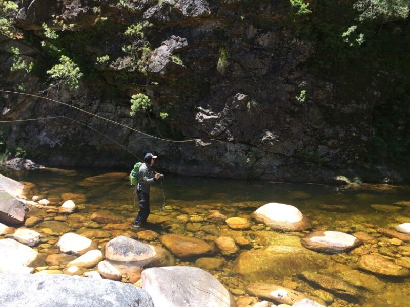 Fly Fishing in Cape Town - An Overview of the Fly Fishing Experience in Cape Town