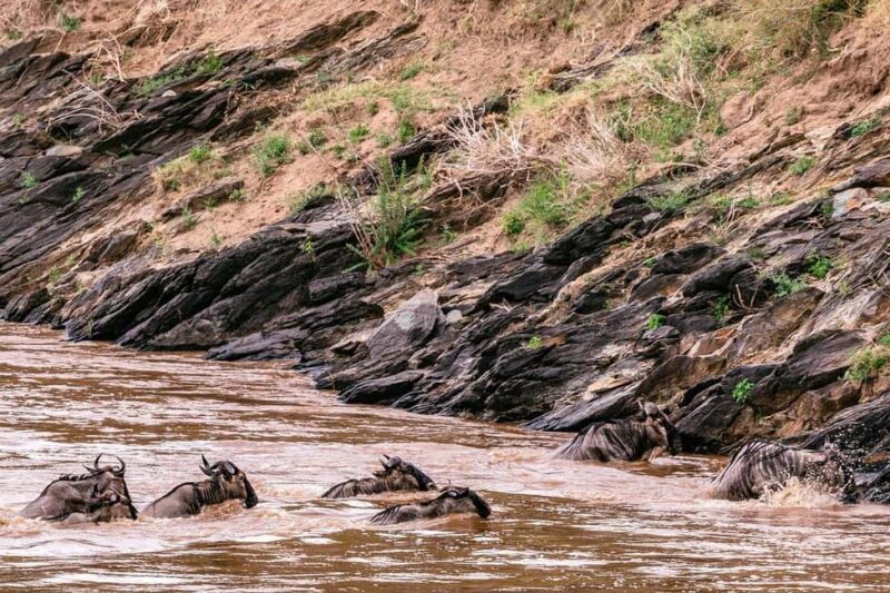 Fly from Nairobi to Maasai Mara:Full-Day Game Drive & Return - FAQ