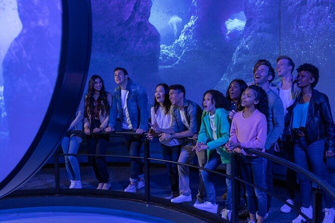 flyover-in-las-vegas