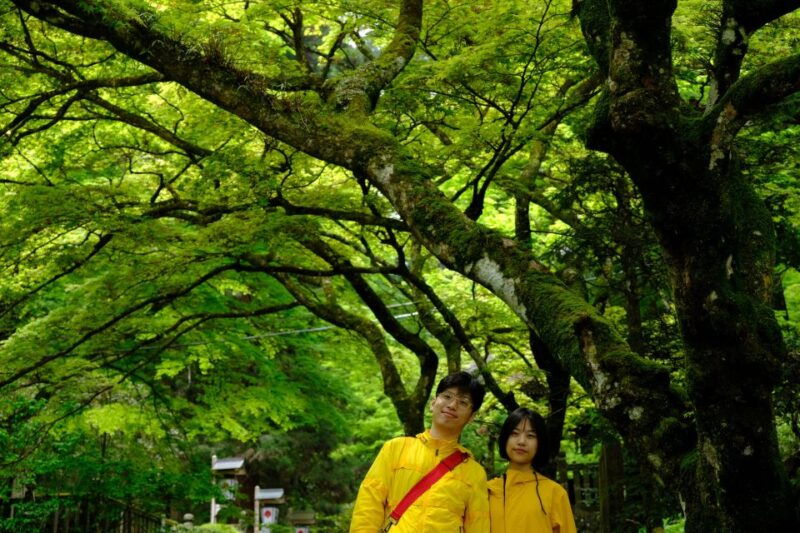 fm-odawara-forest-bathing-and-onsen-with-healing-power