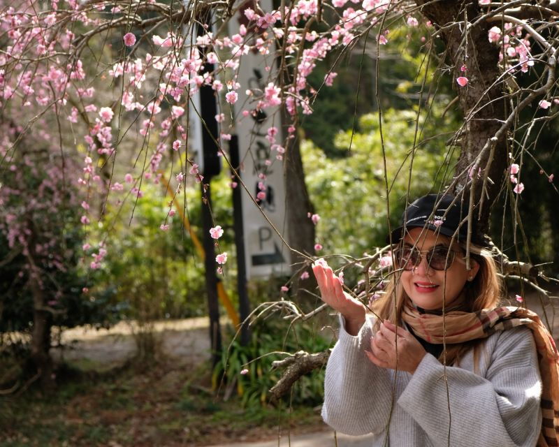 fm-odawara-forest-bathing-and-onsen-with-healing-power