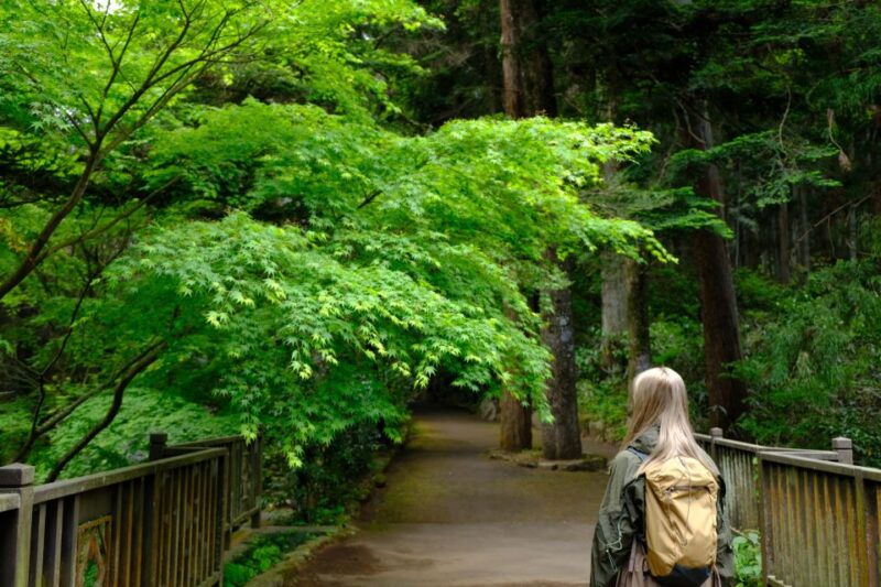 fm-odawara-forest-bathing-and-onsen-with-healing-power