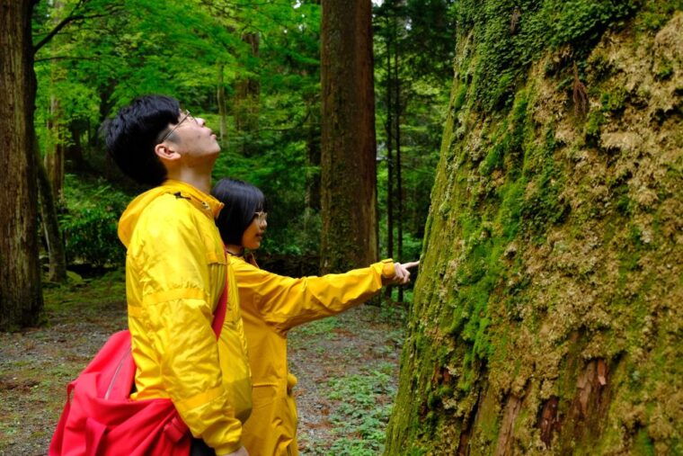 fm-odawara-forest-bathing-and-onsen-with-healing-power