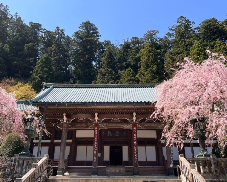 fm-odawara-forest-bathing-and-onsen-with-healing-power