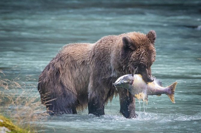 focus-on-haines-private-nature-photography-tour