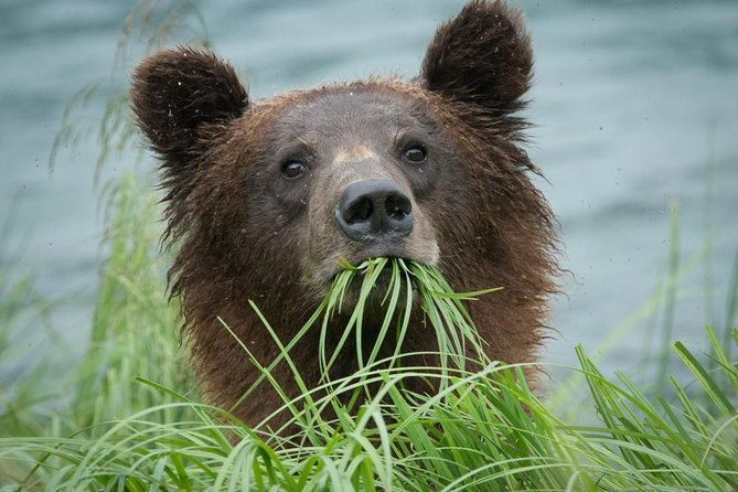 focus-on-haines-private-nature-photography-tour