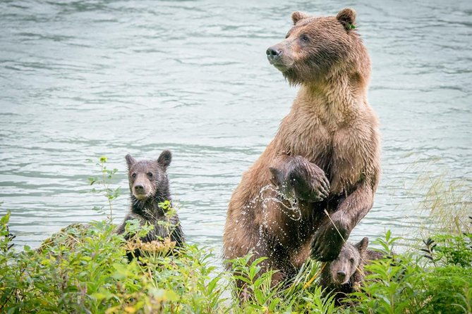 focus-on-haines-private-nature-photography-tour