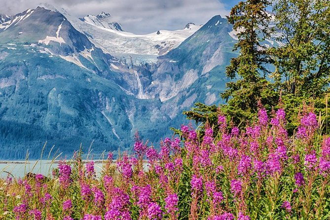 focus-on-haines-private-nature-photography-tour