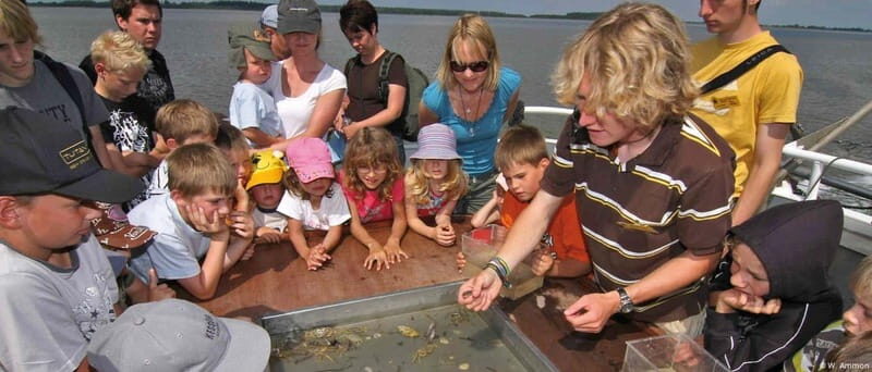 Föhr: Boat trip to the seals - An Authentic North Sea Marine Adventure