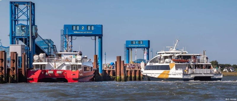 Föhr: Day trip by boat to Hallig Hooge - An In-Depth Look at the Trip