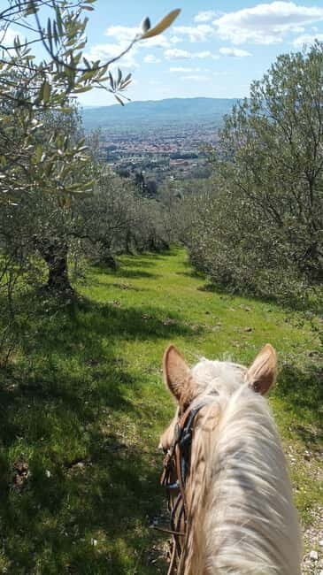 Foligno: horseback riding with aperitif - Practical Details and What to Expect