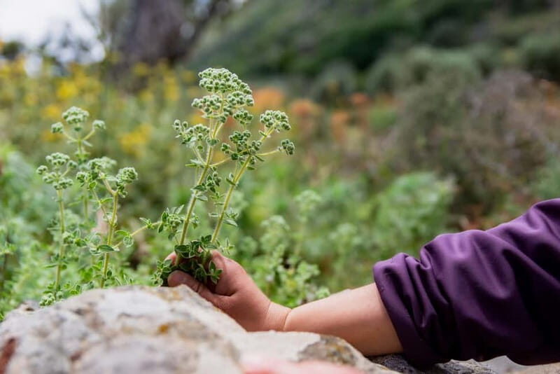 Follow the riverside hiking tour (Private experience) - Key Points  