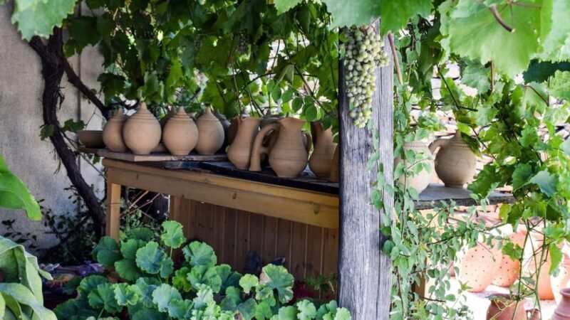 Following Naxian Pottery tradition & Visit Halki village - FAQs
