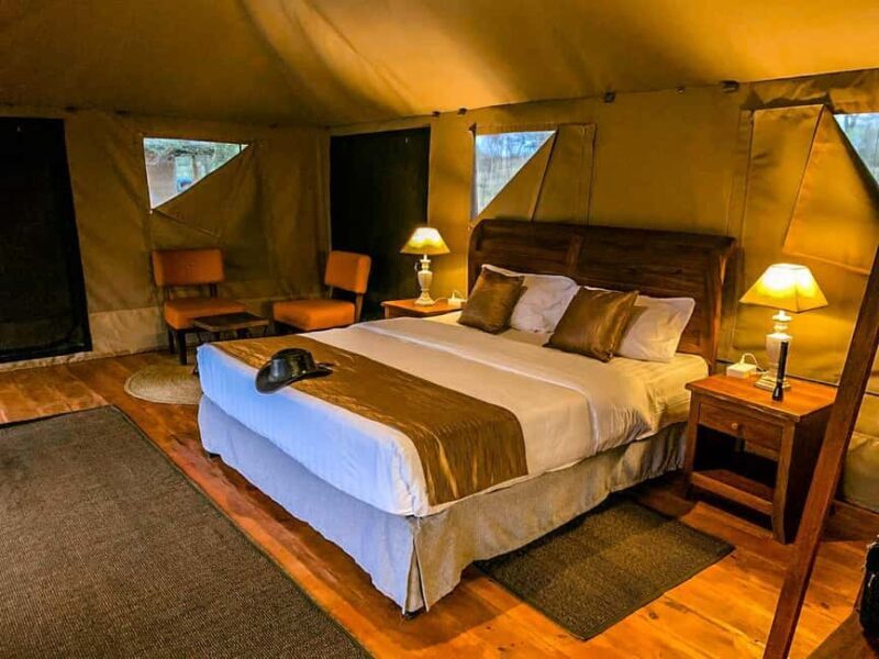 Following The Great Migration Safari in Style  2025 - The Experience, Transportation, and Overall Value