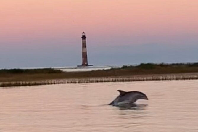 folly-river-morris-island-dolphin-and-exploration-adventure
