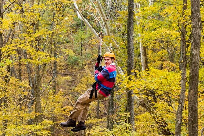 fontanel-zipline-forest-adventure-at-nashville-north