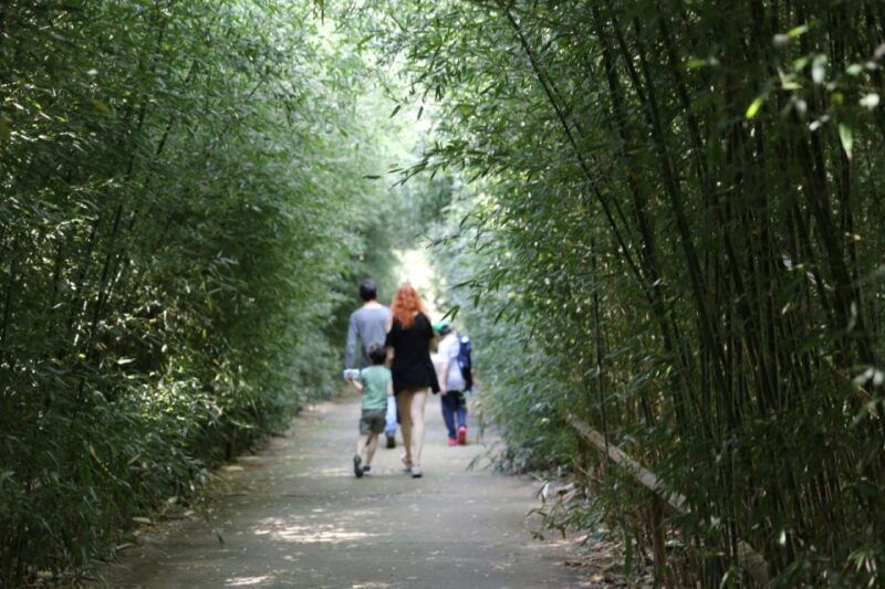 fontanellato-labyrinth-of-the-masone-full-day-entry-ticket