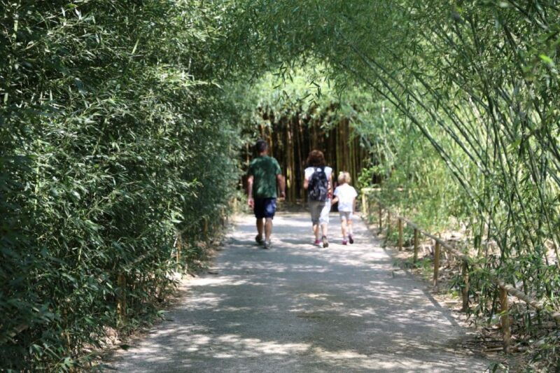 fontanellato-labyrinth-of-the-masone-full-day-entry-ticket