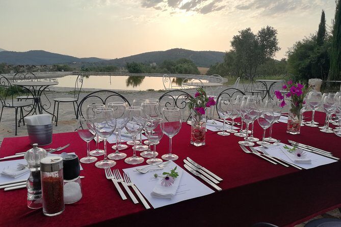 Food and Wine pairing Dinner at Karnas Vineyards Bodrum - An In-Depth Look at the Experience