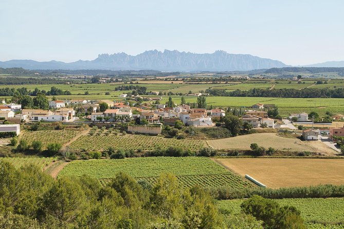 food-and-wine-small-group-tour-from-barcelona-maximum-8-people