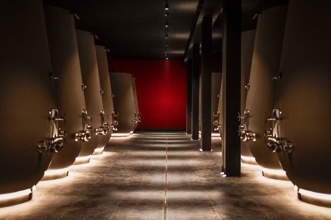food-and-wine-tasting-in-valpolicella-2