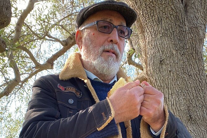 food-and-wine-tour-between-the-patriarchs-olives-and-the-oil-temples