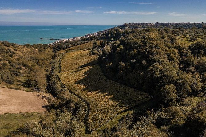 food-and-wine-tour-of-san-vito-chietino