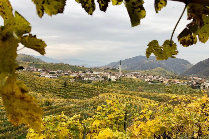 food-and-wine-tour-on-the-prosecco-hills-from-venice