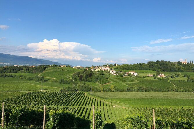 food-and-wine-tour-on-the-prosecco-hills-from-venice