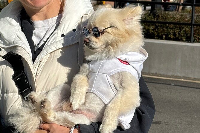 food-art-buildings-of-midtown