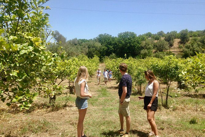 Food Experience at our Farm in Noto Hills - Who Should Book This Experience?