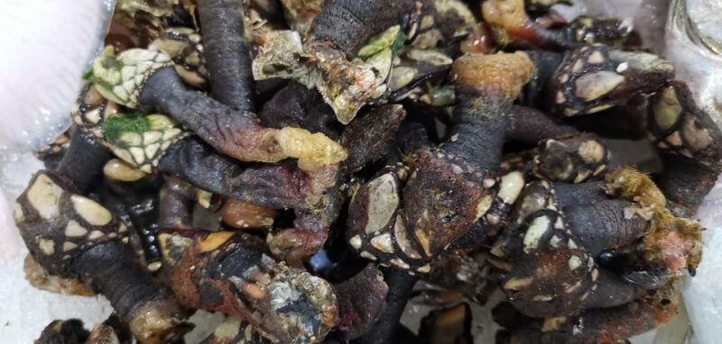 food-market-guided-tour-with-chef-and-cooking-class