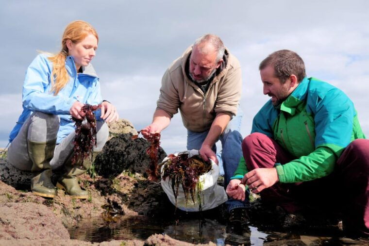 food-tasting-cultural-tour-inishmore-aran-islands-private