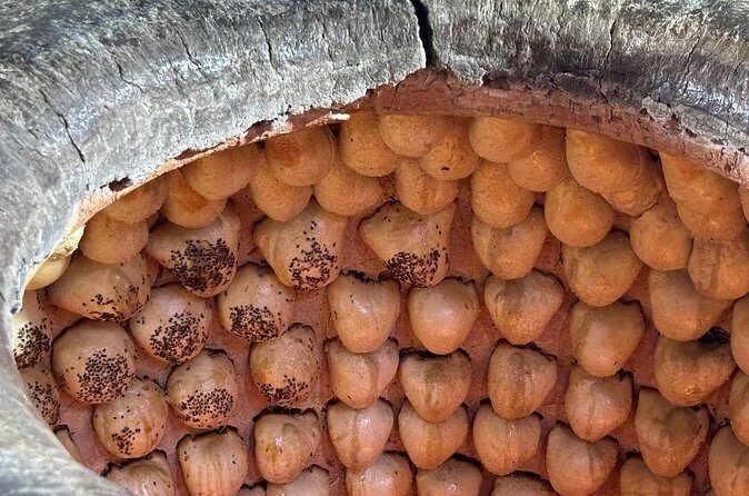 Food tour in Tashkent - FAQ